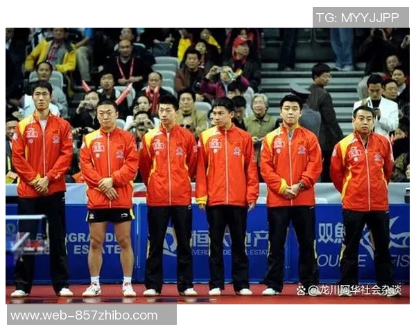 对话乒乓球名将周磊探讨他的辉煌生涯与未来展望