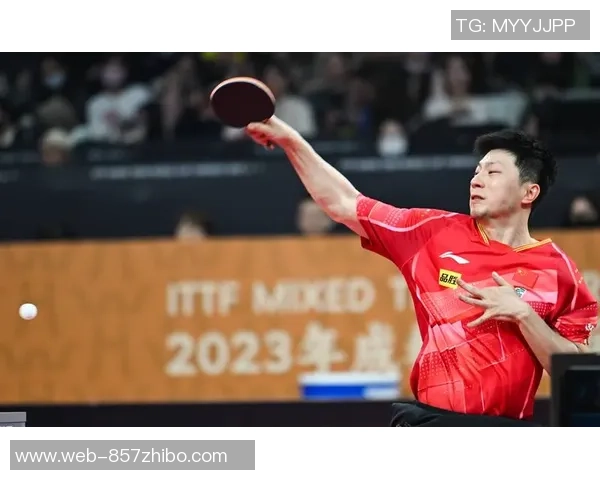 日本女乒全力以赴迎战新加坡队力争在国际赛场再创佳绩